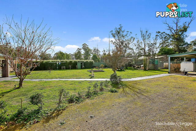 38 Tarnpirr Road NARBETHONG VIC 3778