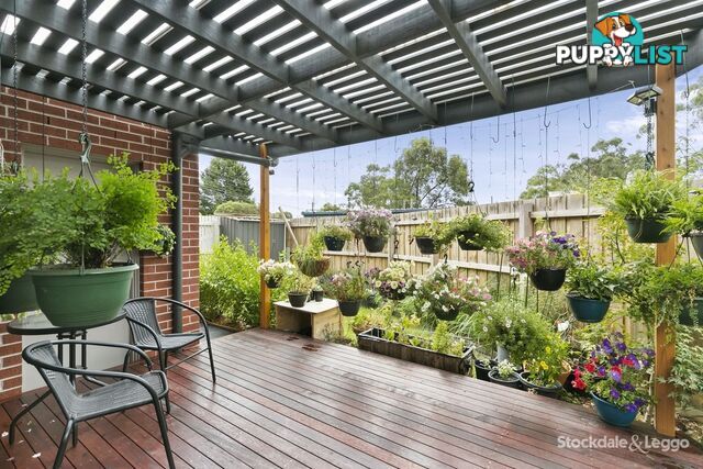 36A Rolloway Rise CHIRNSIDE PARK VIC 3116