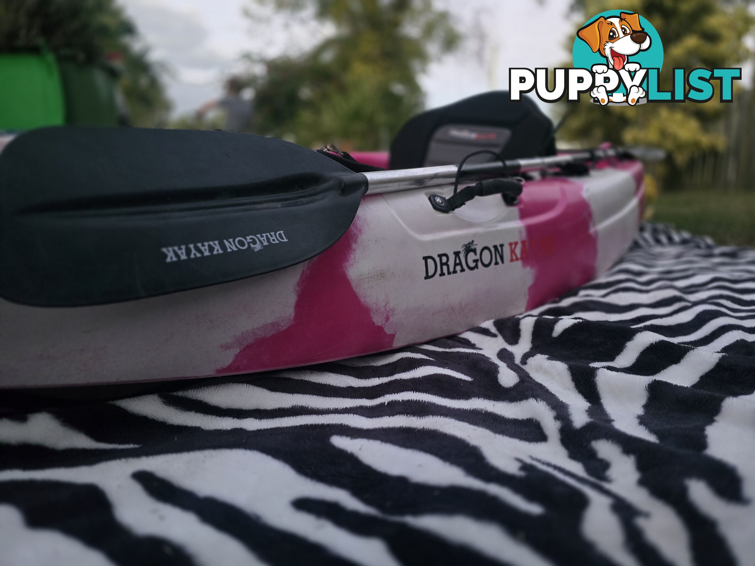 Dragon Kayak + Bonus Petrol Motor & Propeller Combo – Great Condition!