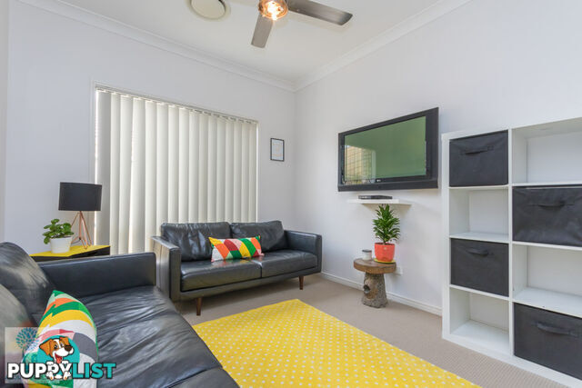 47 Numbat Street North Lakes, QLD 4509