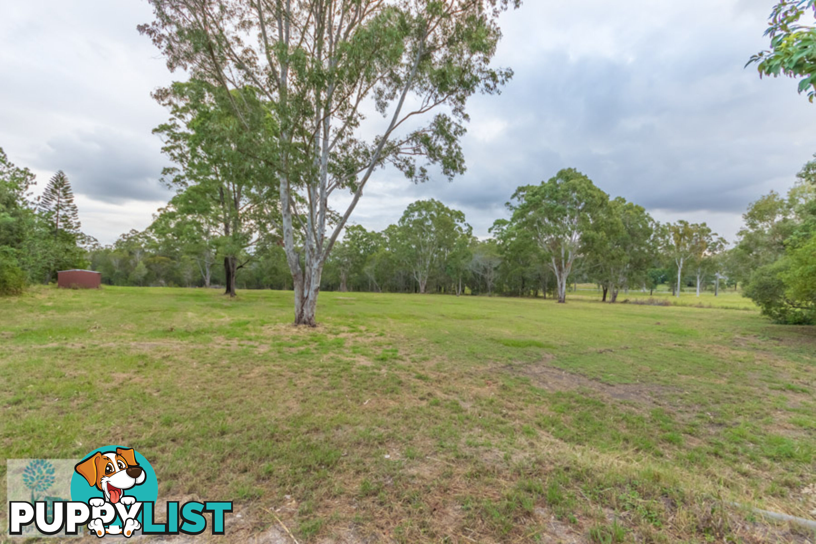 20 Mumford Road KURWONGBAH QLD 4503