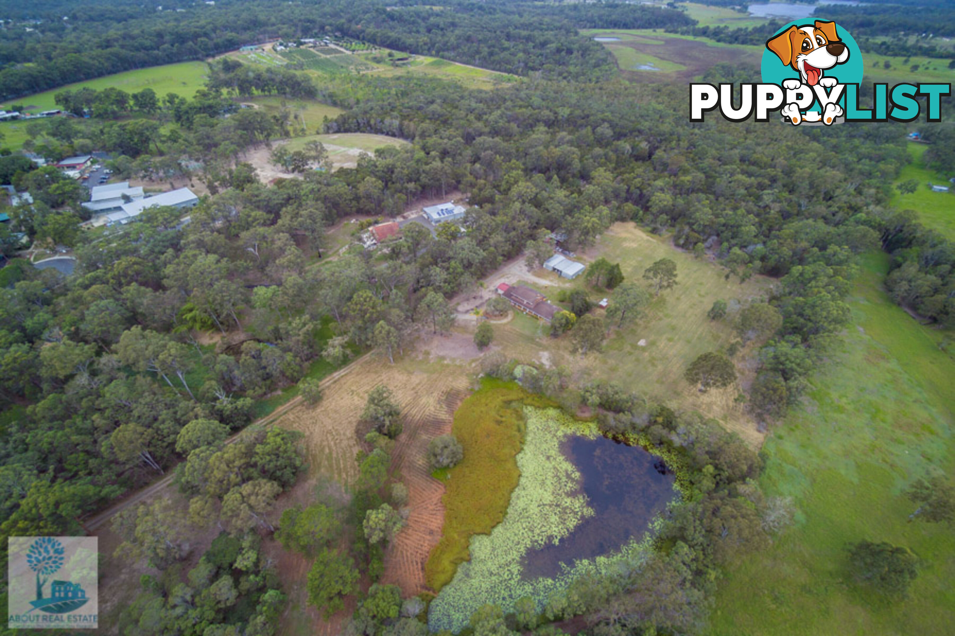 20 Mumford Road KURWONGBAH QLD 4503