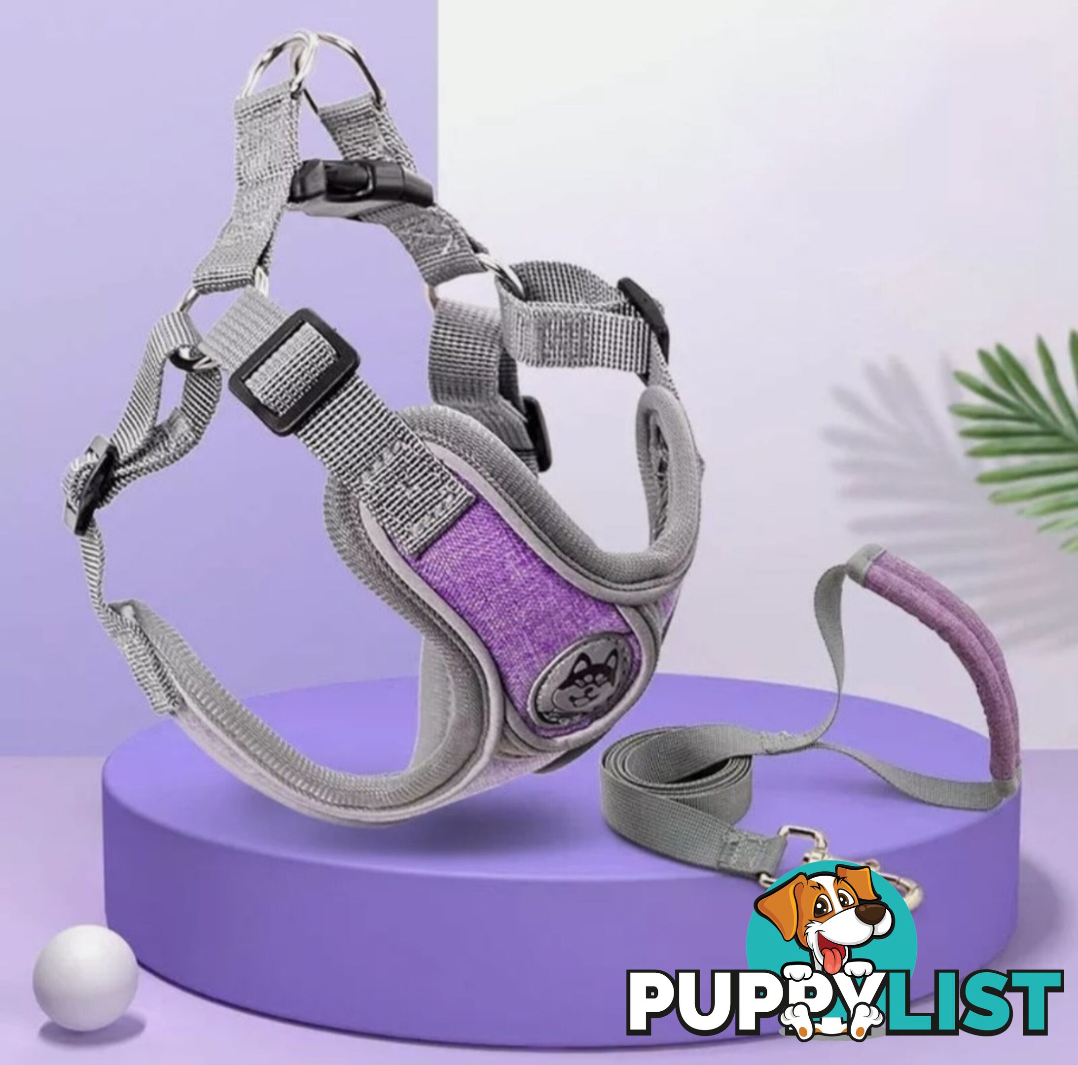 REFLECTIVE HARNESS & LEAD SET