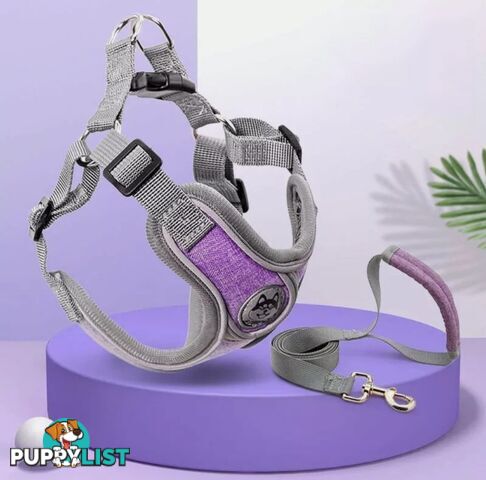 REFLECTIVE HARNESS & LEAD SET