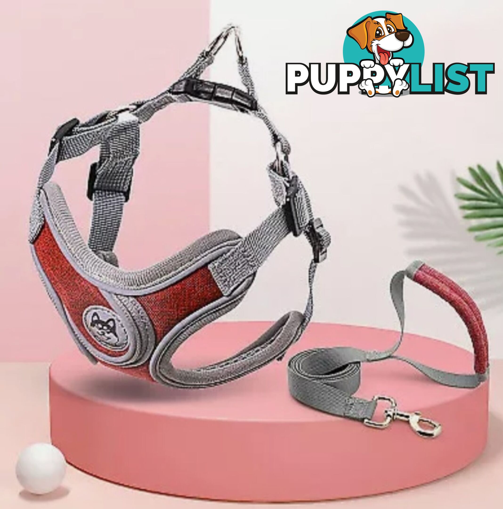 REFLECTIVE HARNESS & LEAD SET