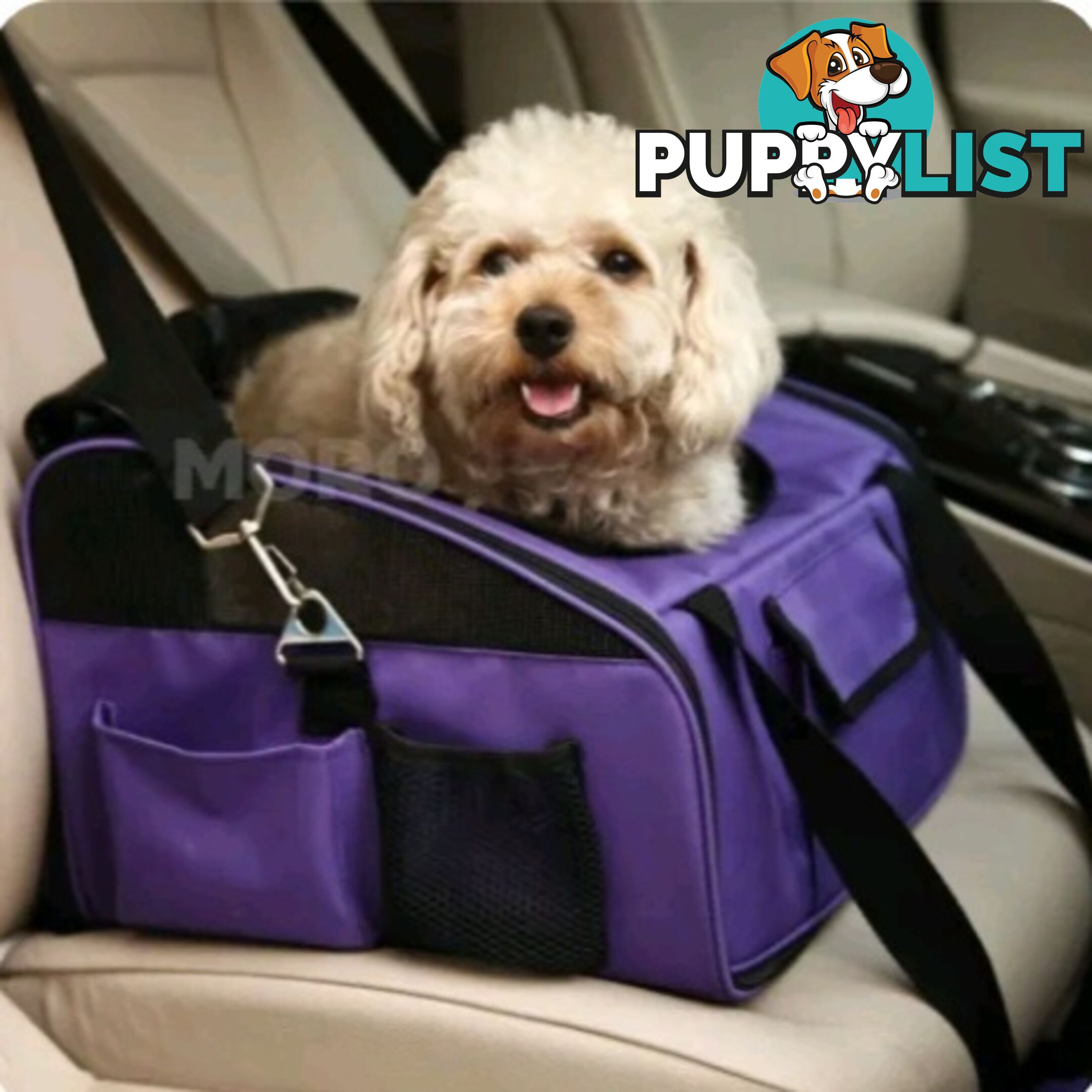 PET CAR SEAT AND SEATBELTS