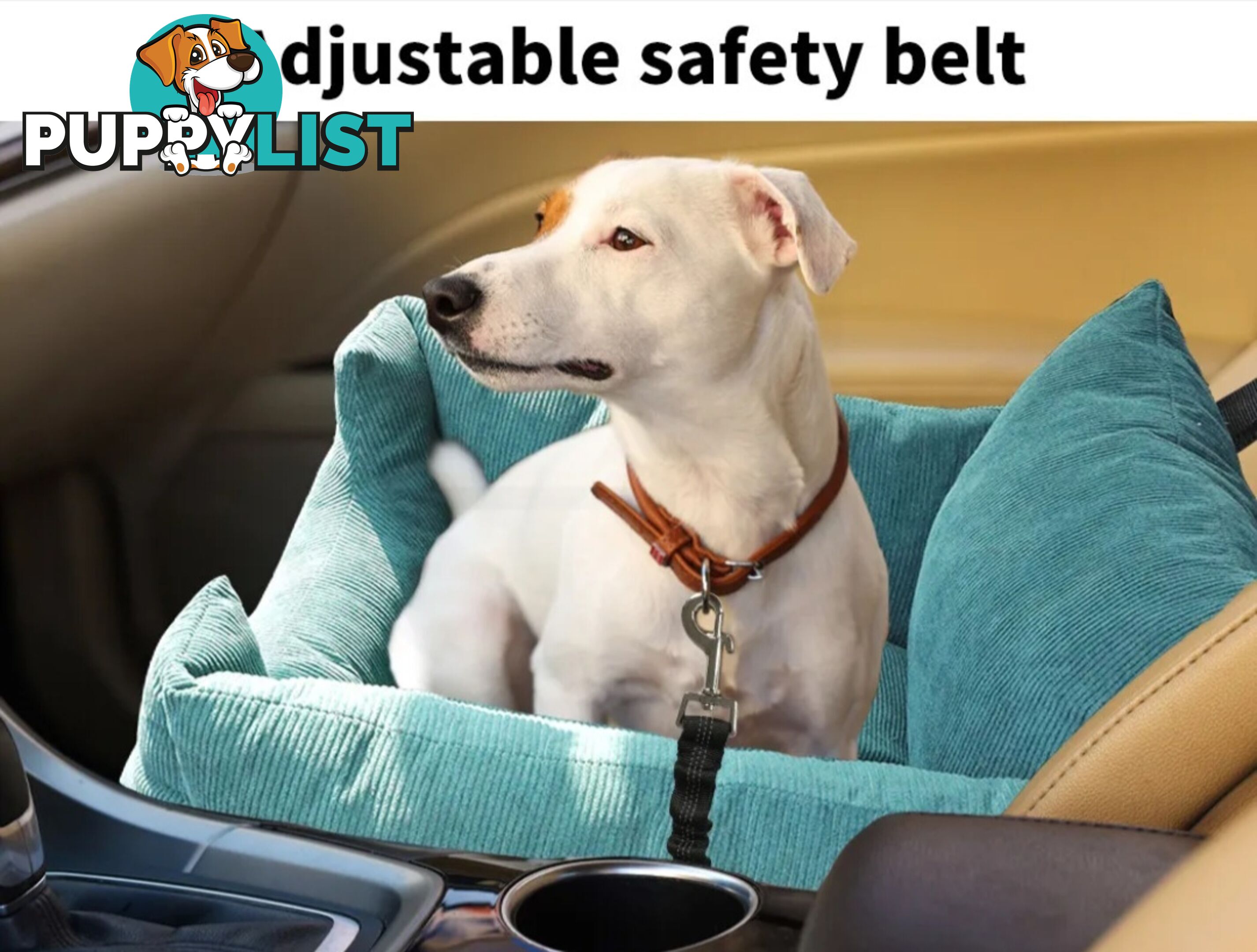 PET CAR SEAT AND SEATBELTS