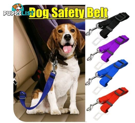 PET CAR SEAT AND SEATBELTS