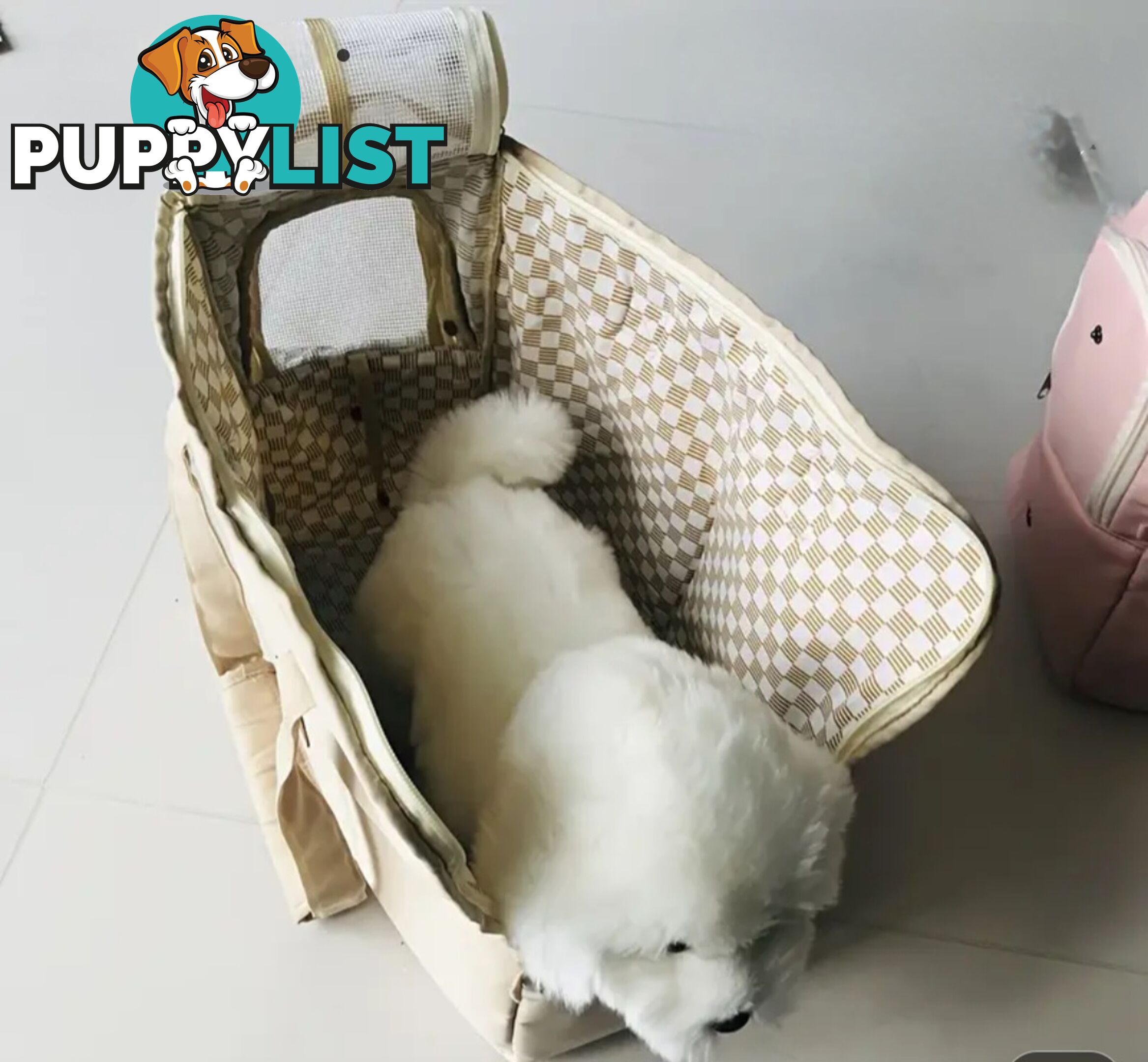 TRENDY PET CARRY BAGS