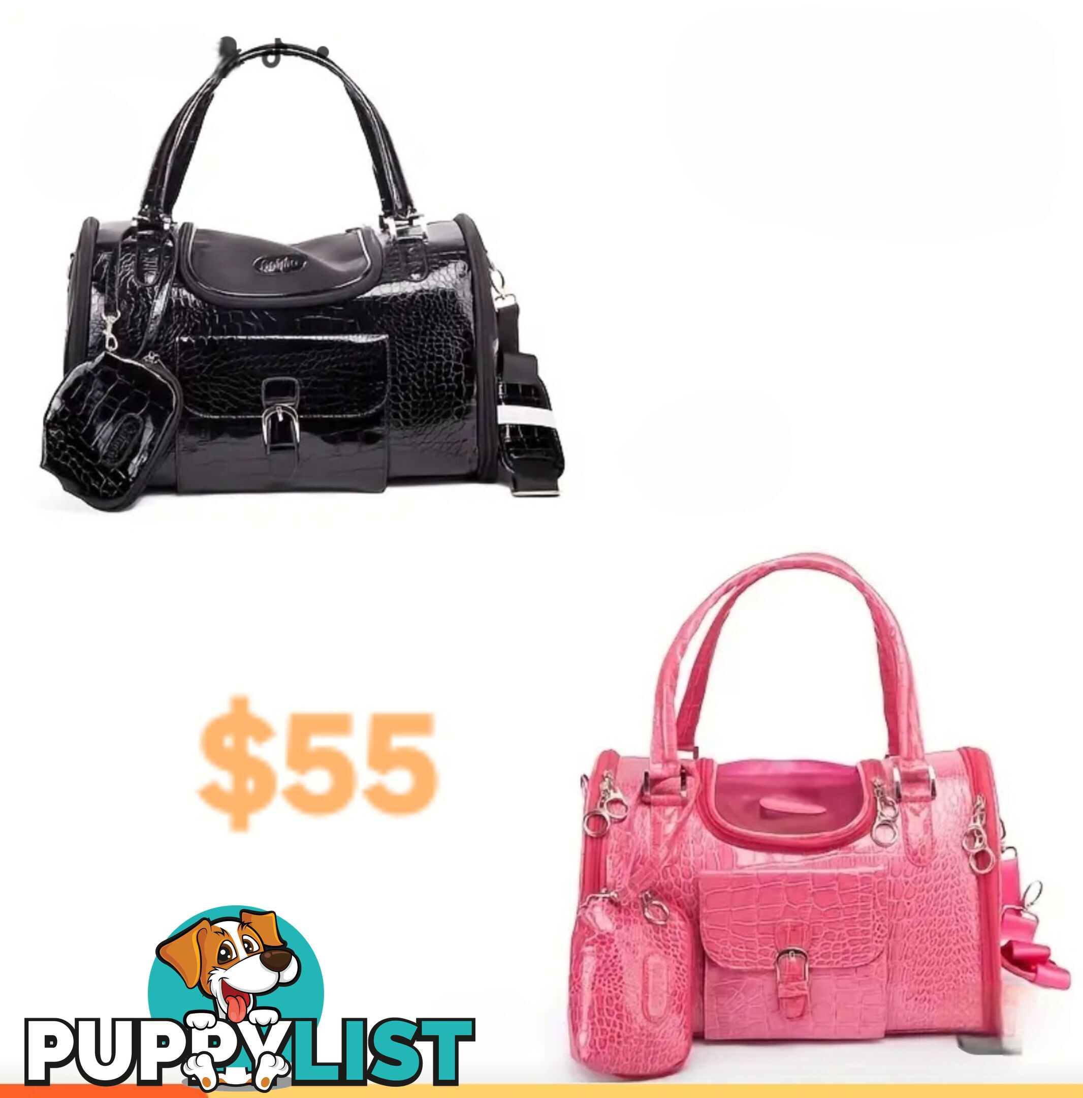 TRENDY PET CARRY BAGS