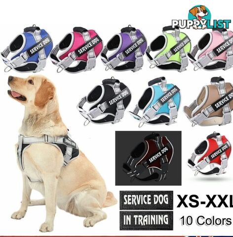 SOFT AND STURDY NO PULL DOG HARNESS 