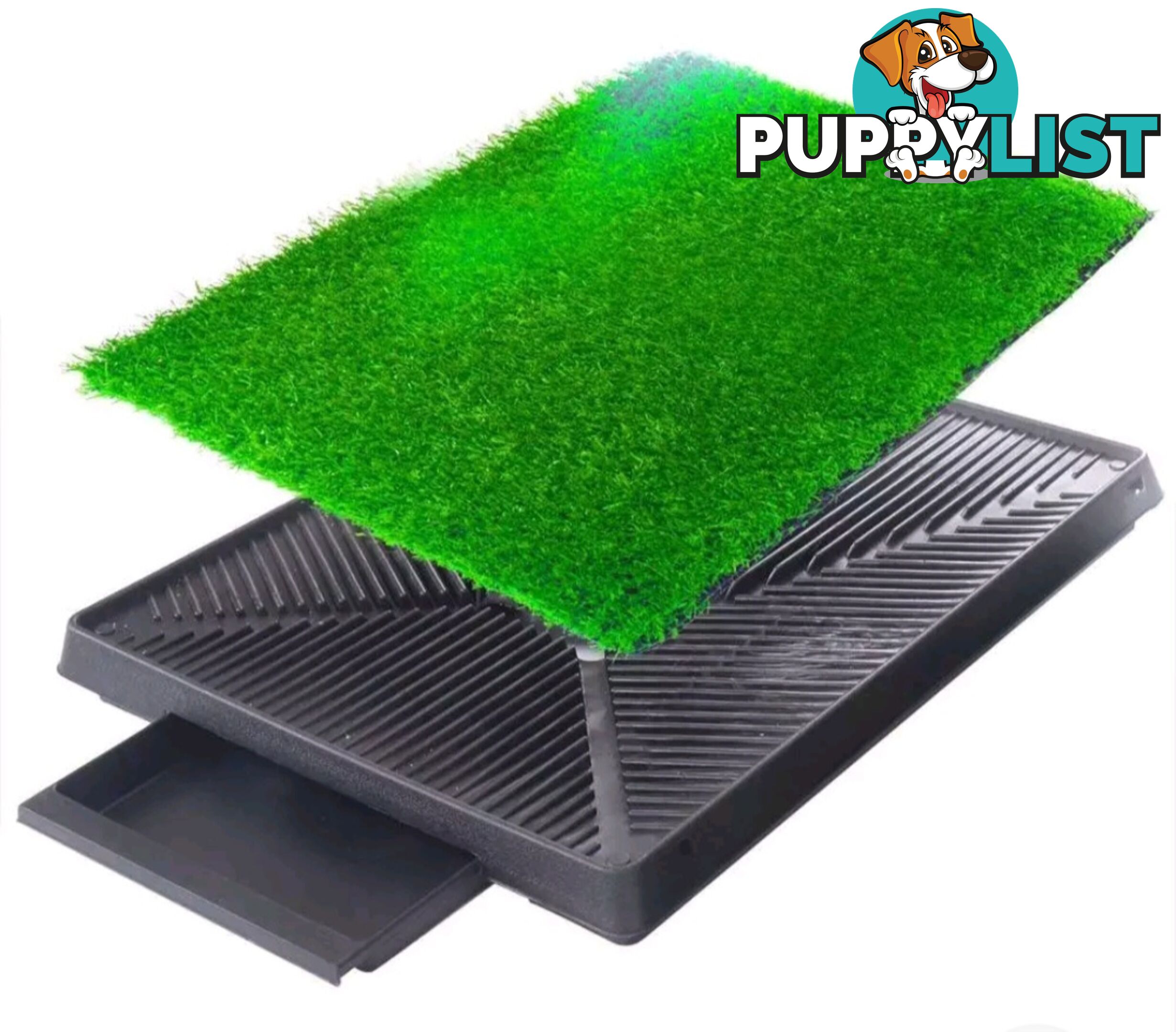 PET TOILET 