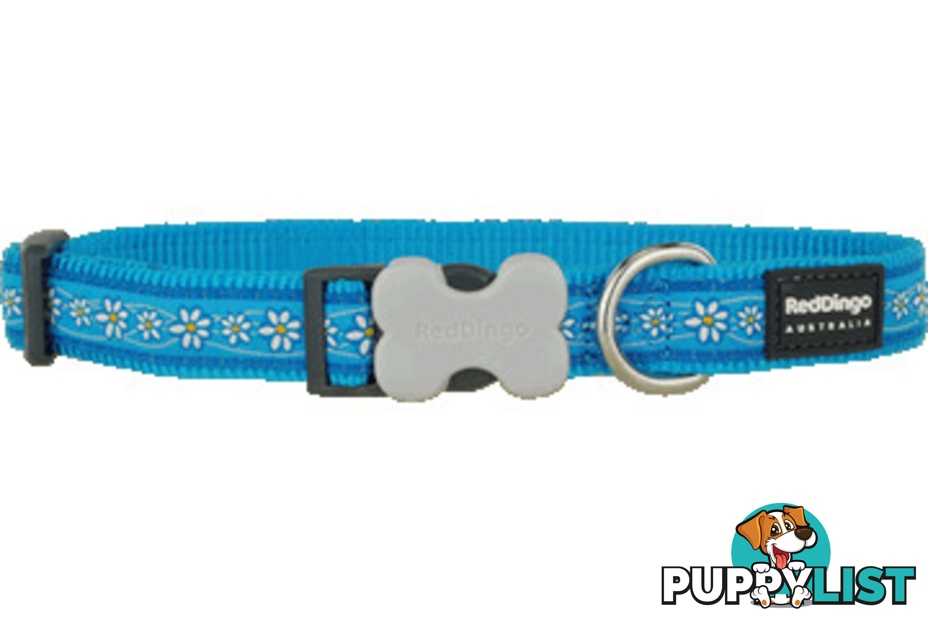 RED DINGO LEADS AND MATCHING COLLARS
