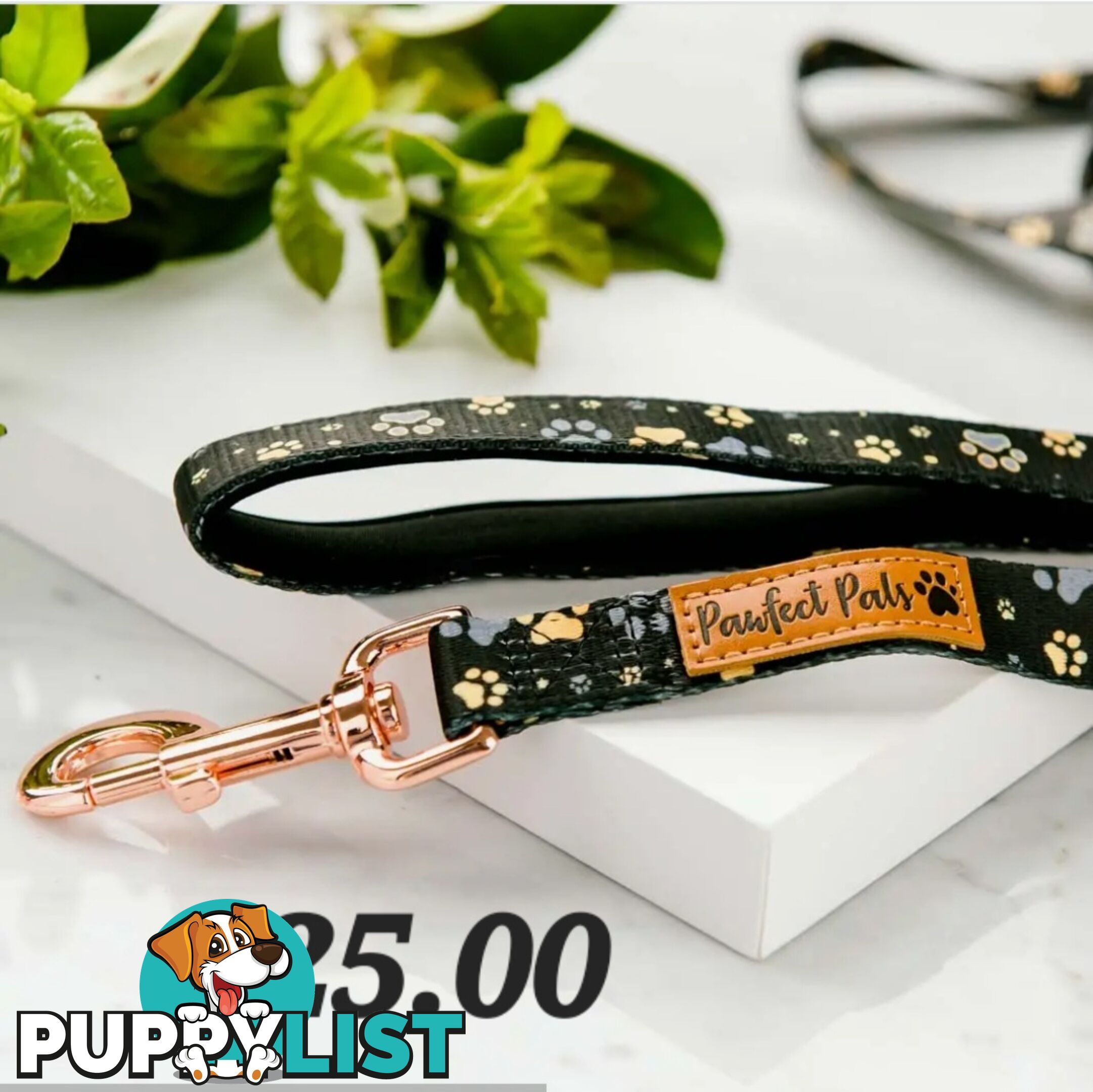 Matching Collar, Harness and Lead Sets