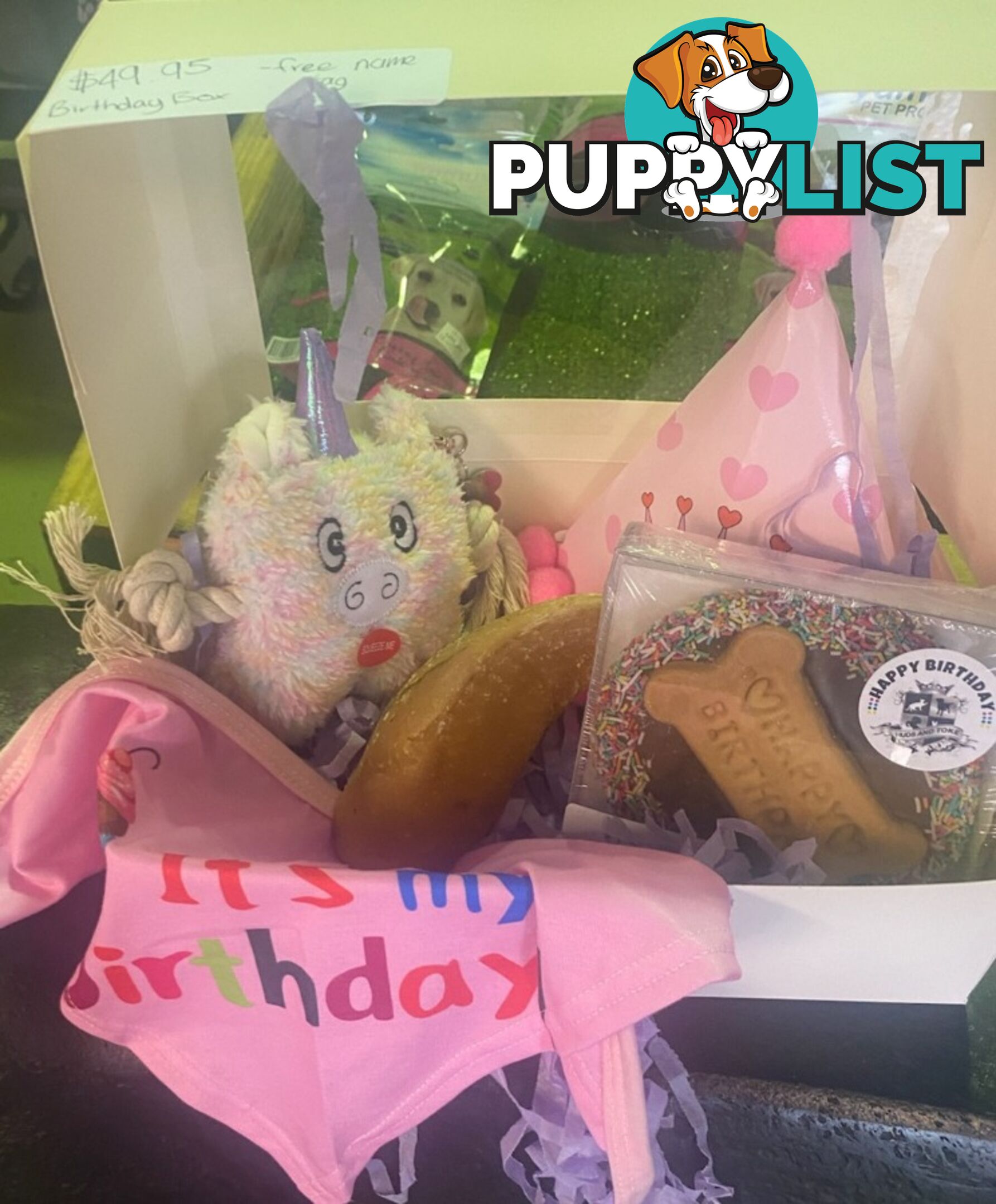 PUPPY BIRTHDAY BOXES