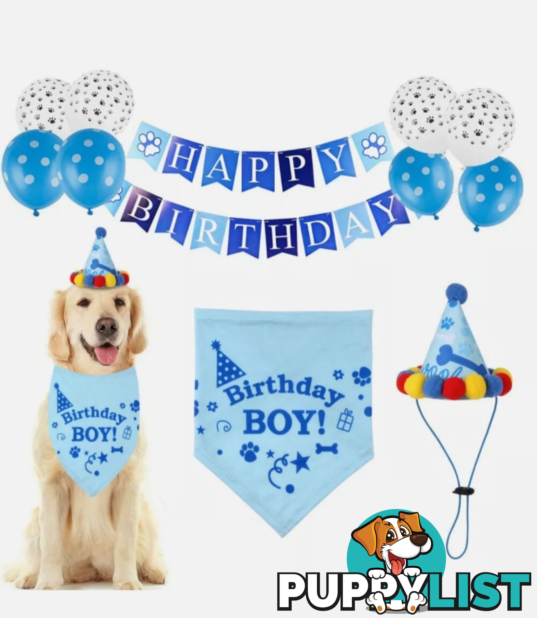 PUPPY BIRTHDAY BOXES