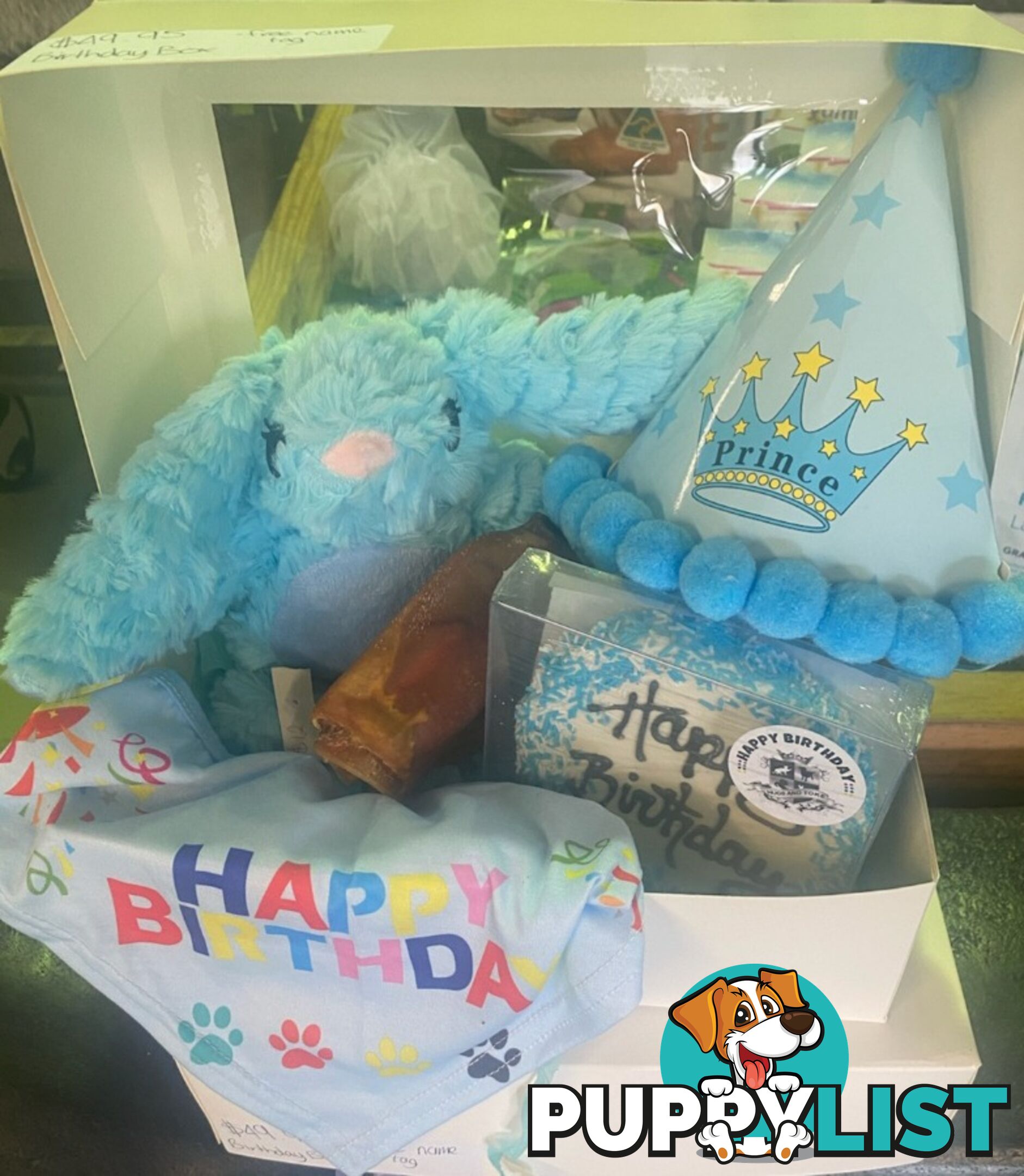 PUPPY BIRTHDAY BOXES