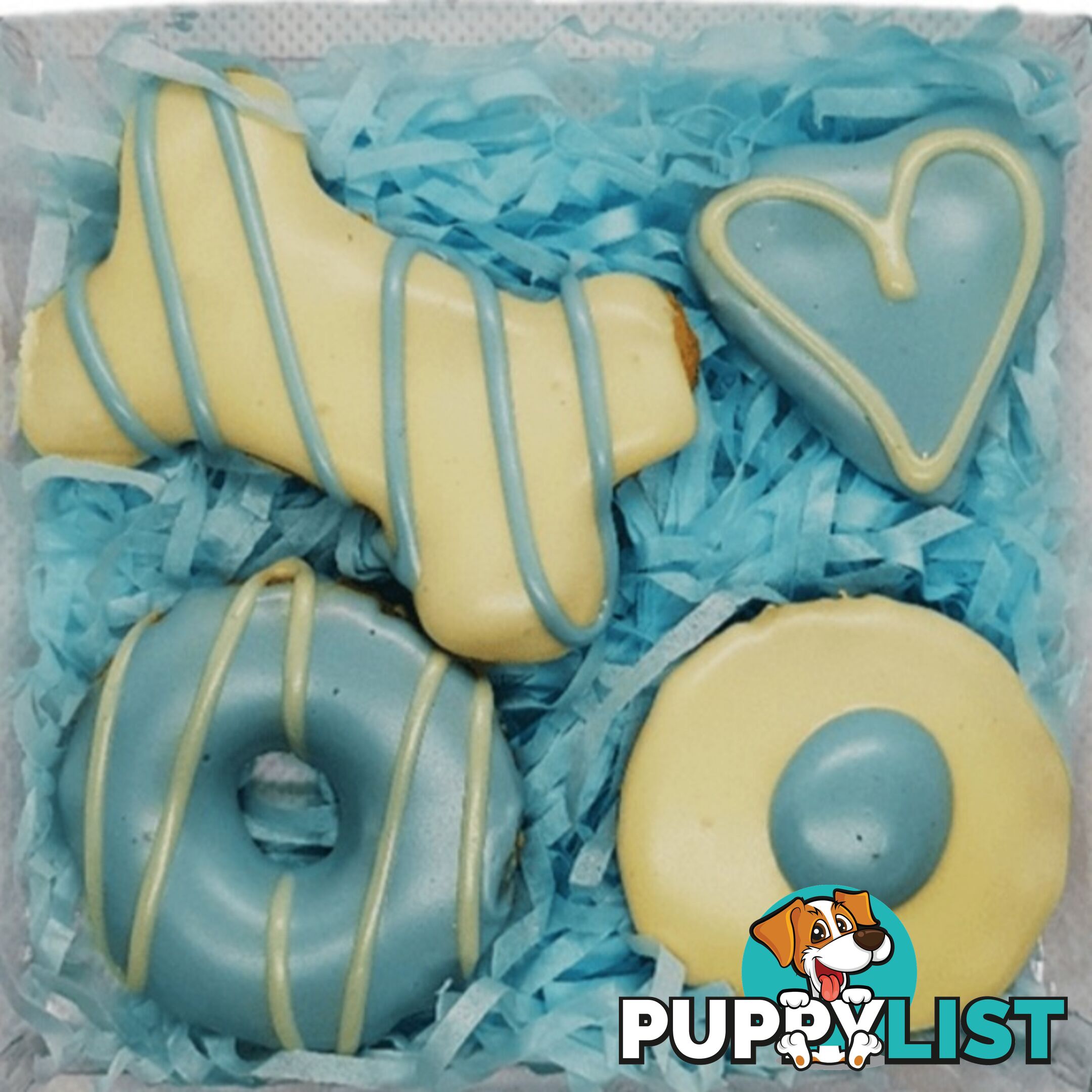 PUPPY BIRTHDAY BOXES