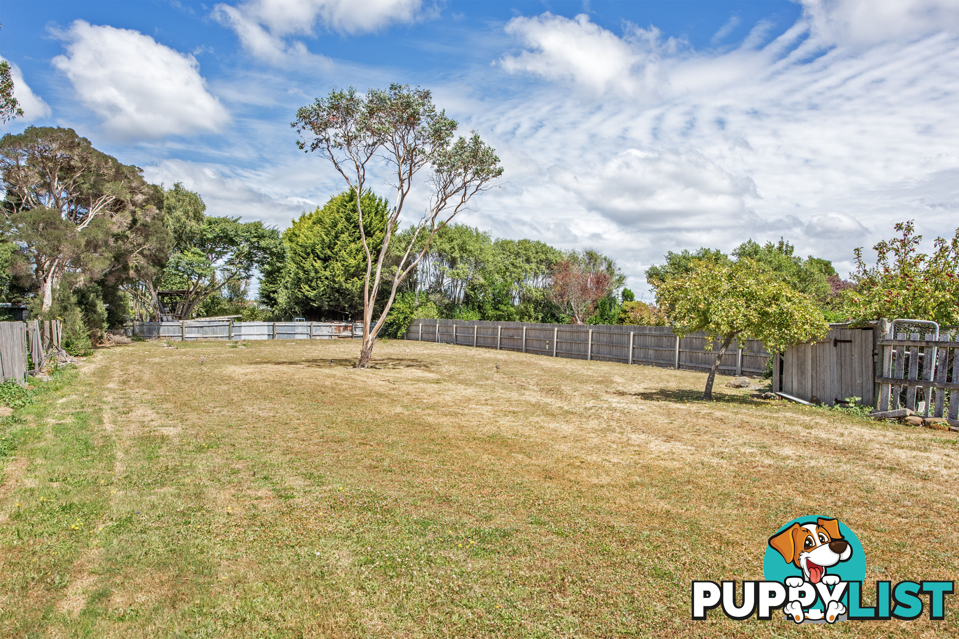 17 Gibson Street SMITHTON TAS 7330