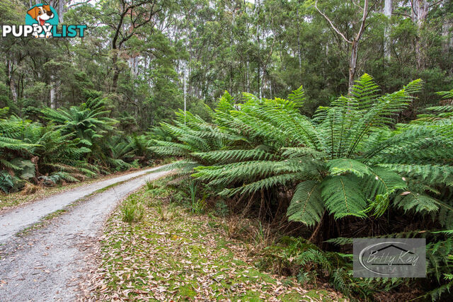 Lot Ringle Doddy Road SOUTH FOREST TAS 7330