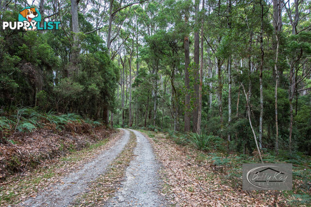 Lot Ringle Doddy Road SOUTH FOREST TAS 7330