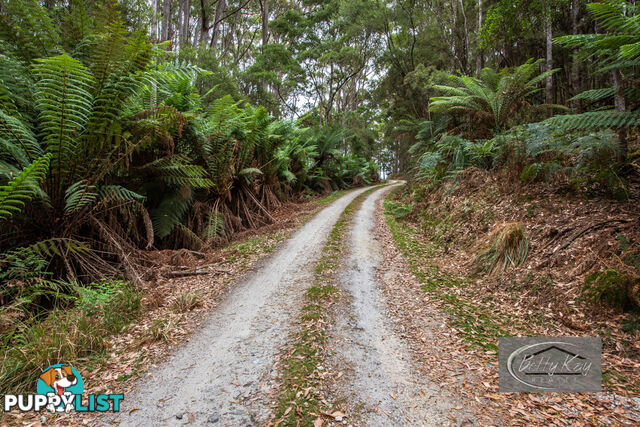 Lot Ringle Doddy Road SOUTH FOREST TAS 7330