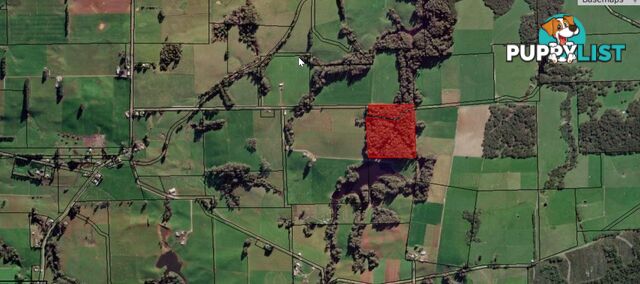 Lot Ringle Doddy Road SOUTH FOREST TAS 7330