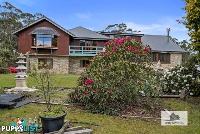 93 Mella Road SMITHTON TAS 7330