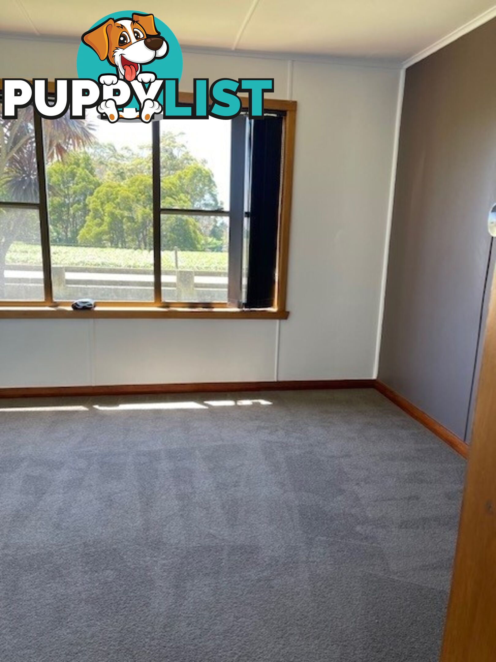 86 Ringle Doddy Road SOUTH FOREST TAS 7330