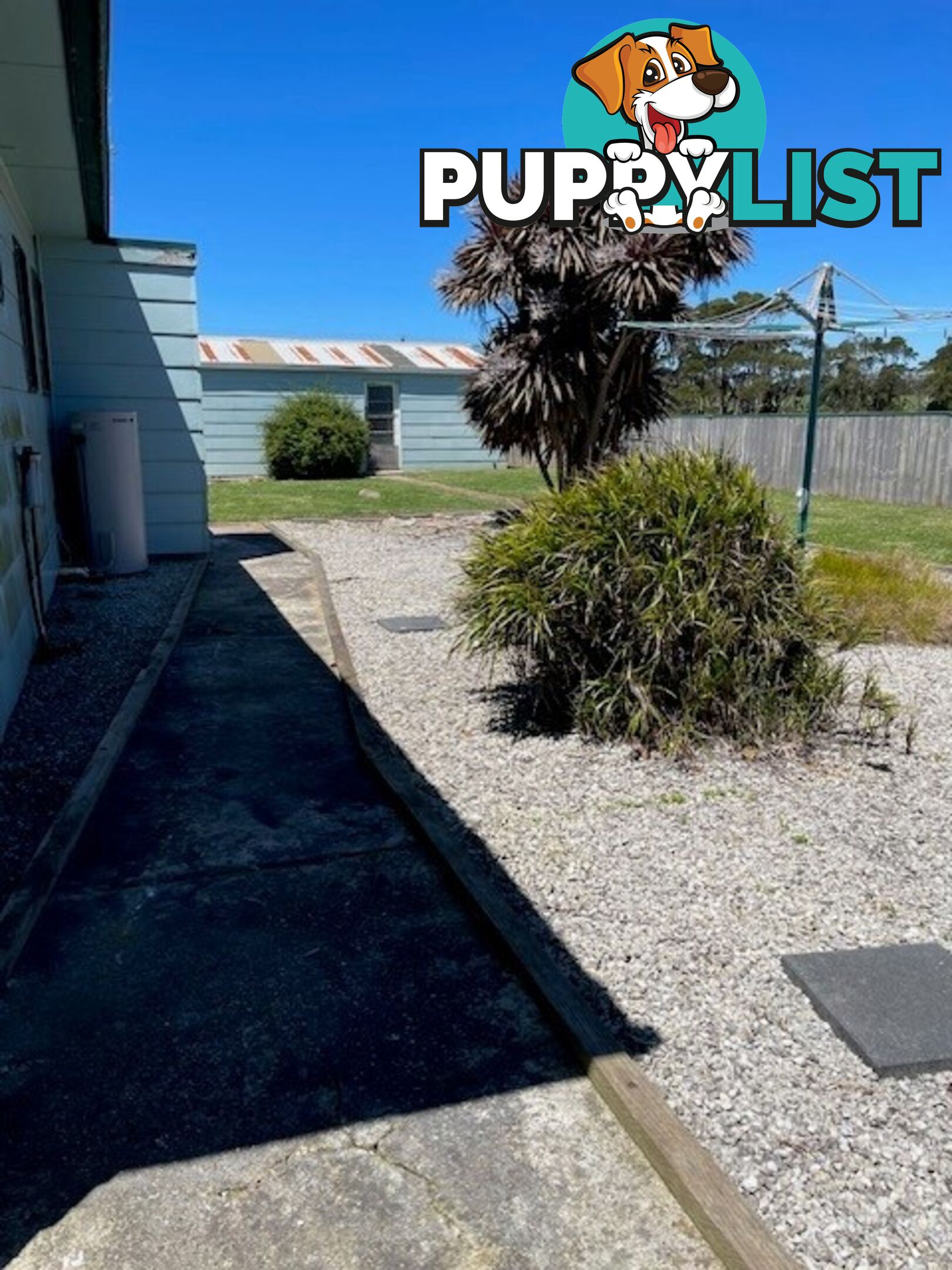 86 Ringle Doddy Road SOUTH FOREST TAS 7330
