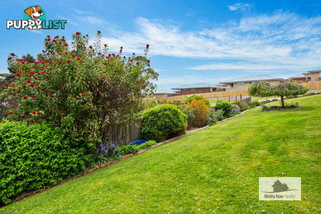 9 Upper Gibson Street SMITHTON TAS 7330