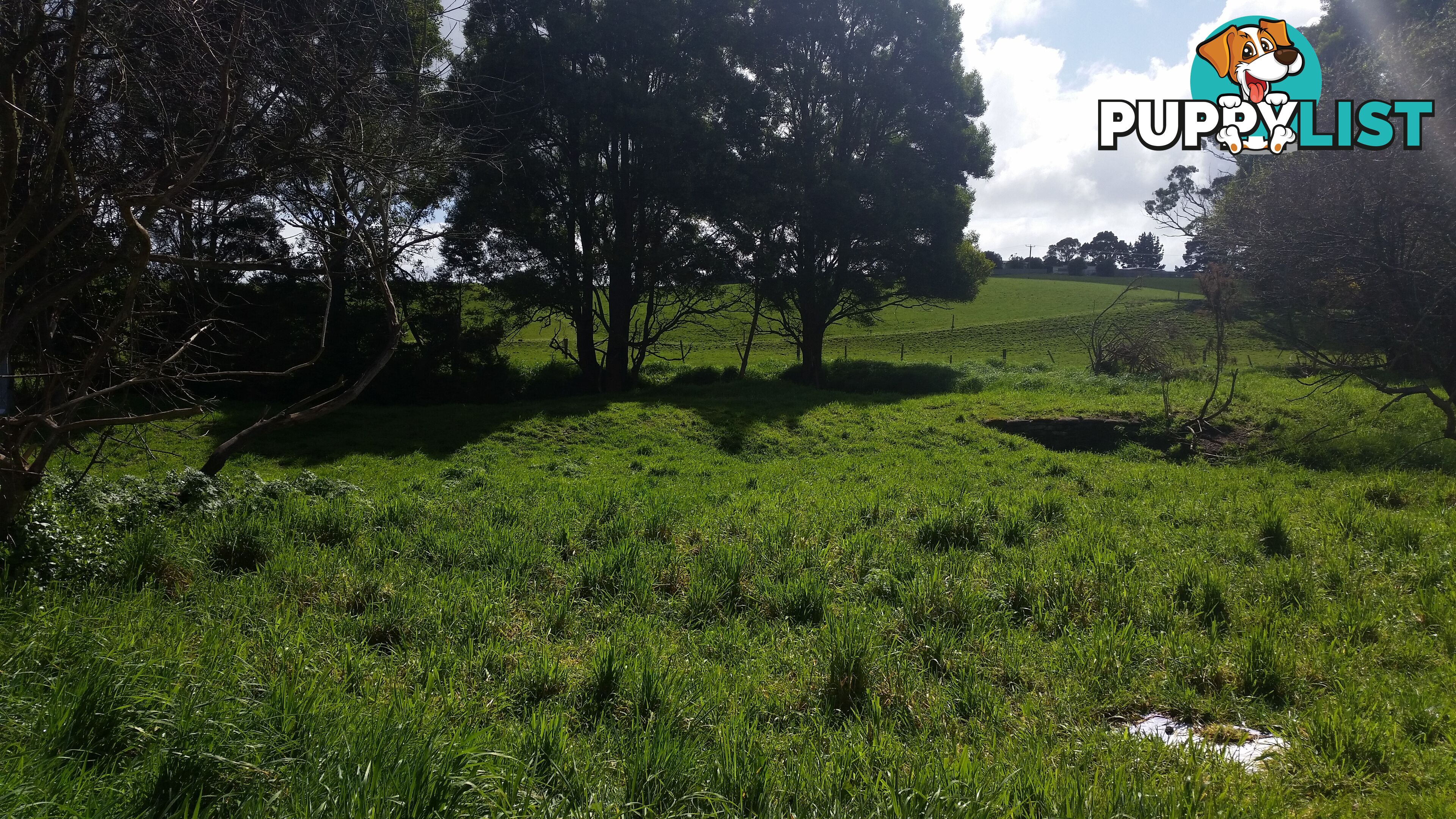 Lot 1 Mengha Road SOUTH FOREST TAS 7330