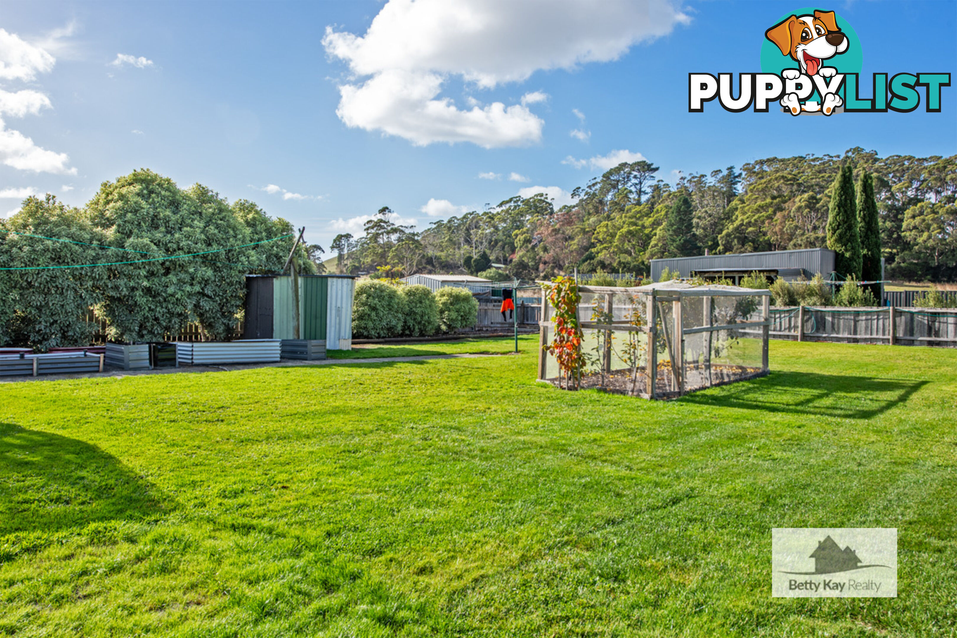 3 Nelson Street SMITHTON TAS 7330