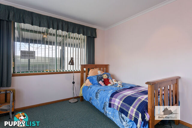 3 Nelson Street SMITHTON TAS 7330