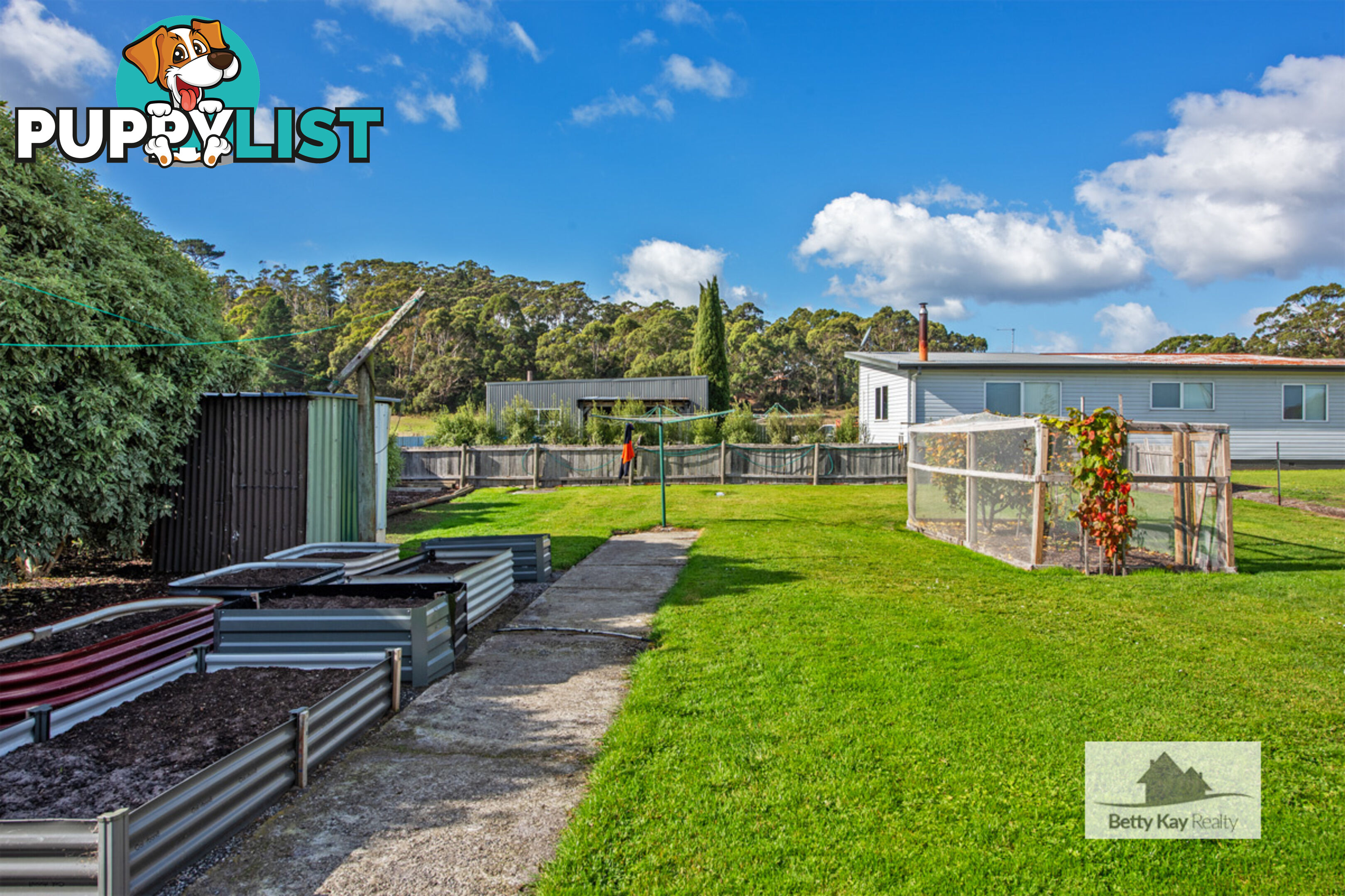 3 Nelson Street SMITHTON TAS 7330