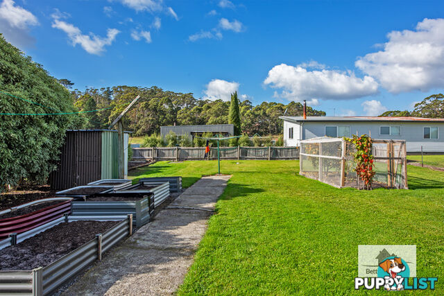 3 Nelson Street SMITHTON TAS 7330