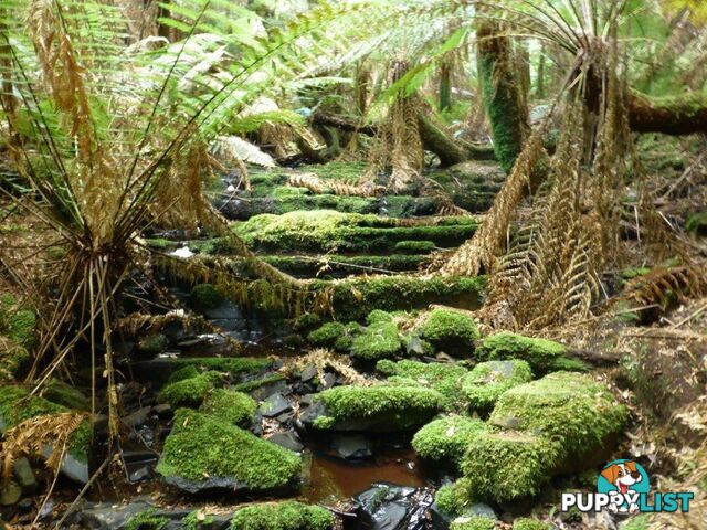 2 Gardiner Street ARTHUR RIVER TAS 7330