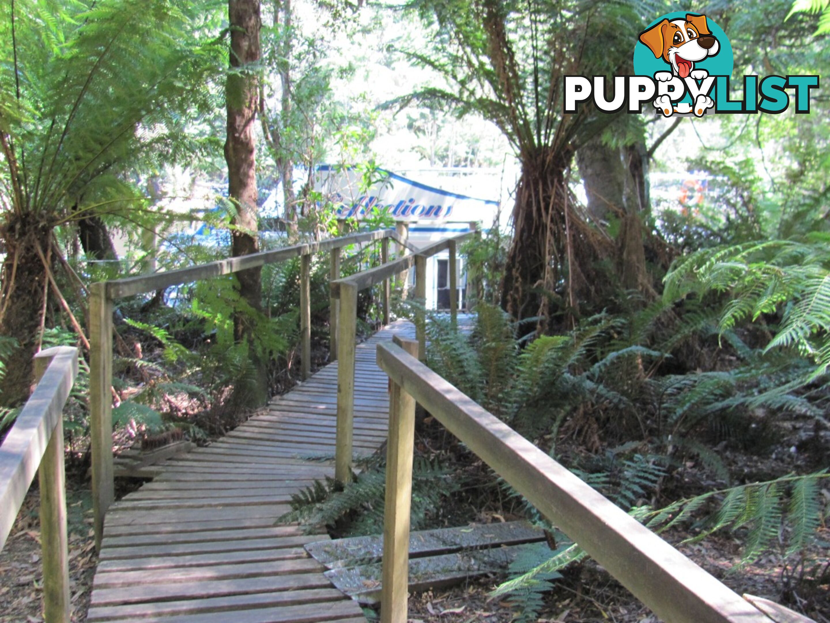 2 Gardiner Street ARTHUR RIVER TAS 7330