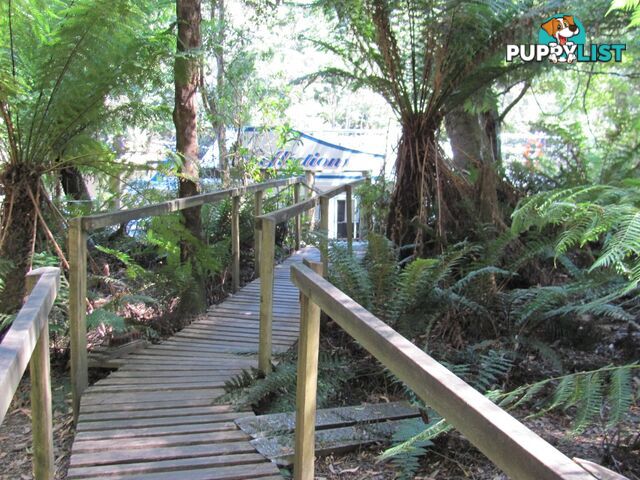 2 Gardiner Street ARTHUR RIVER TAS 7330