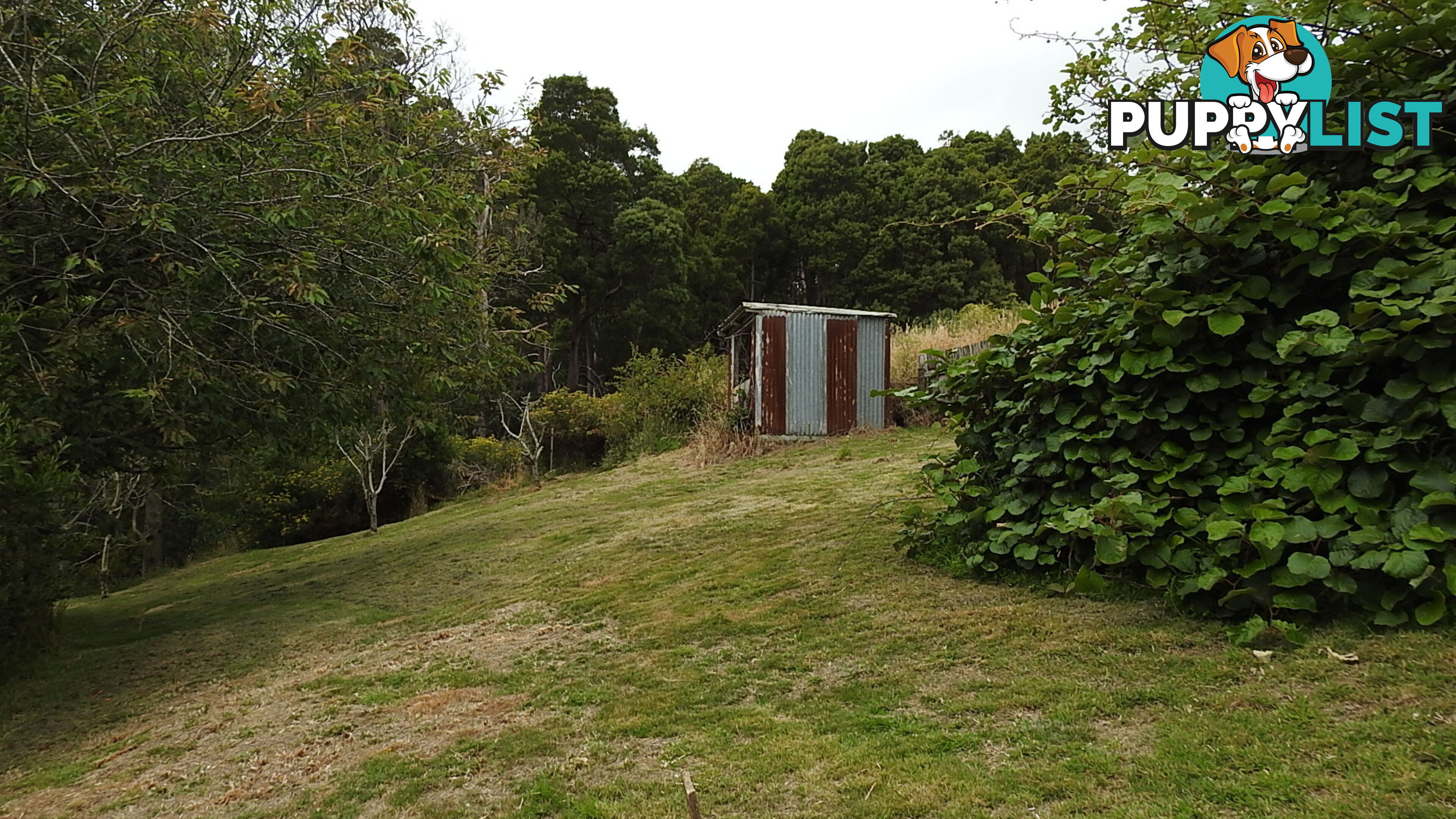 1409 Trowutta Road EDITH CREEK TAS 7330