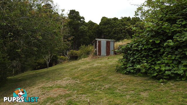 1409 Trowutta Road EDITH CREEK TAS 7330