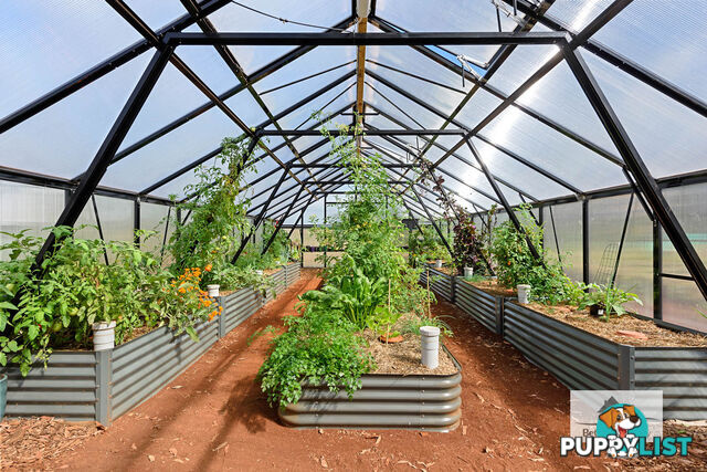 609 Mengha Road FOREST TAS 7330