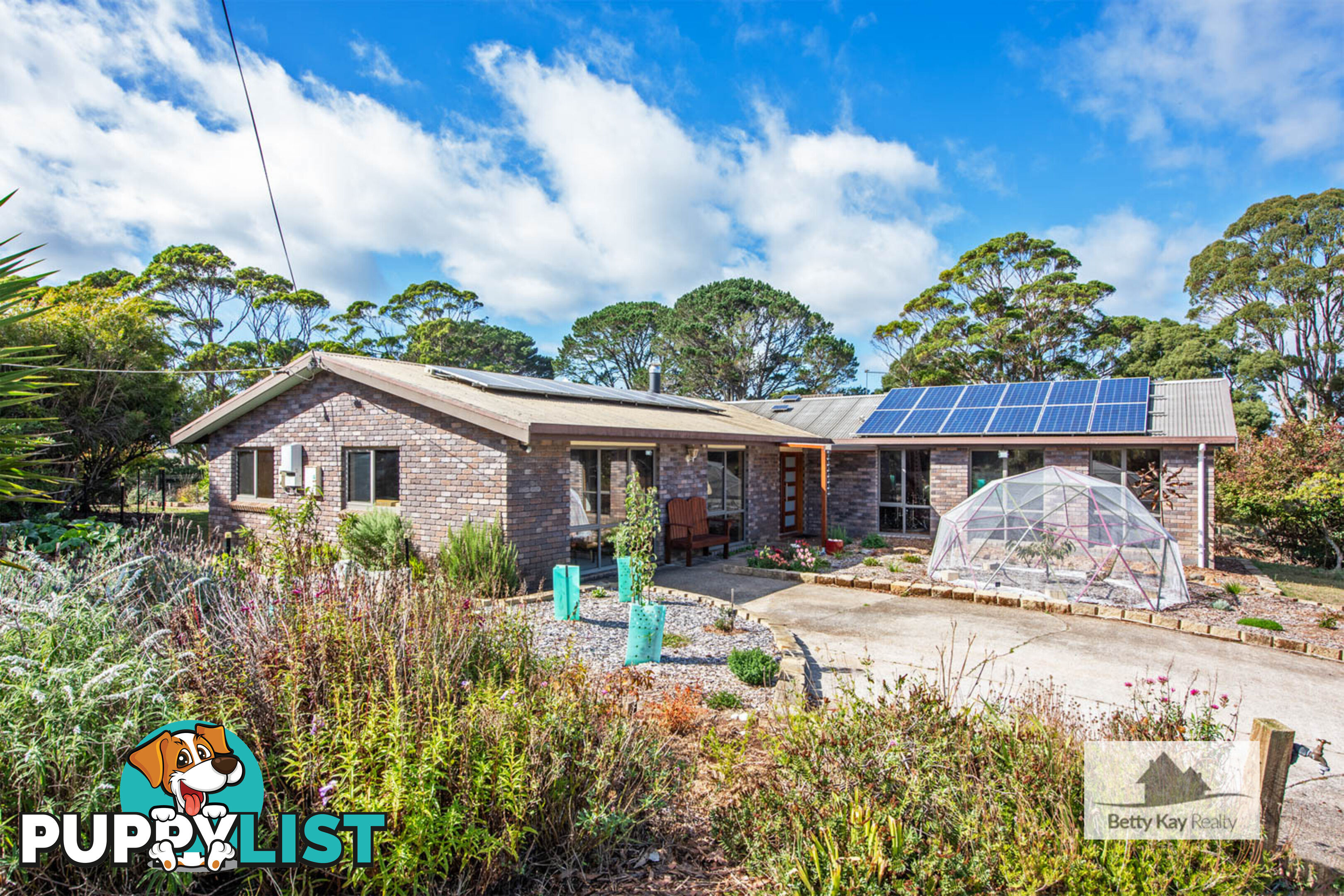 609 Mengha Road FOREST TAS 7330