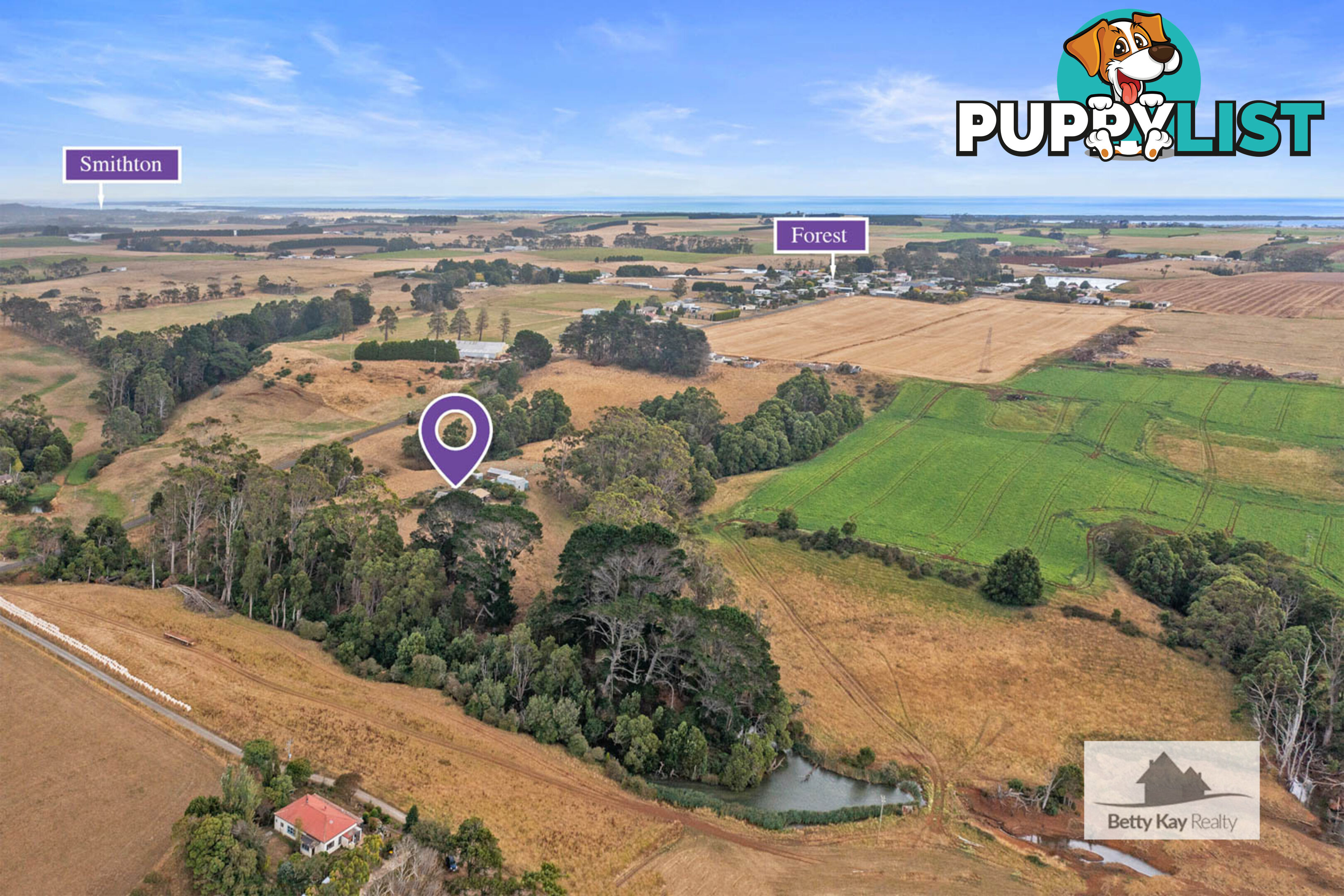 609 Mengha Road FOREST TAS 7330