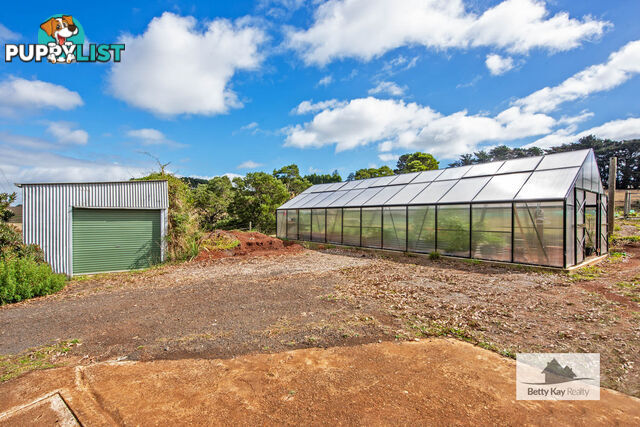 609 Mengha Road FOREST TAS 7330