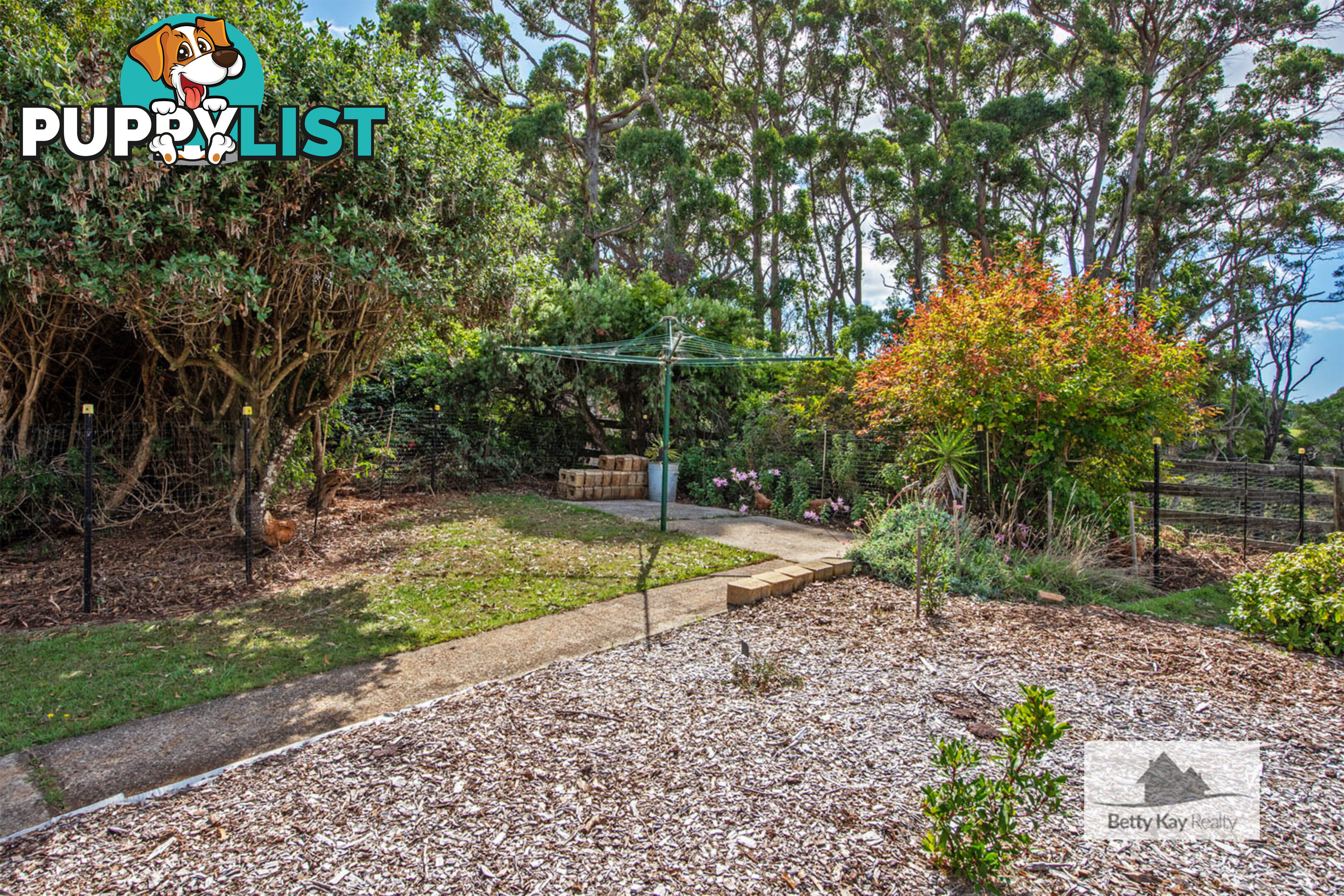 609 Mengha Road FOREST TAS 7330