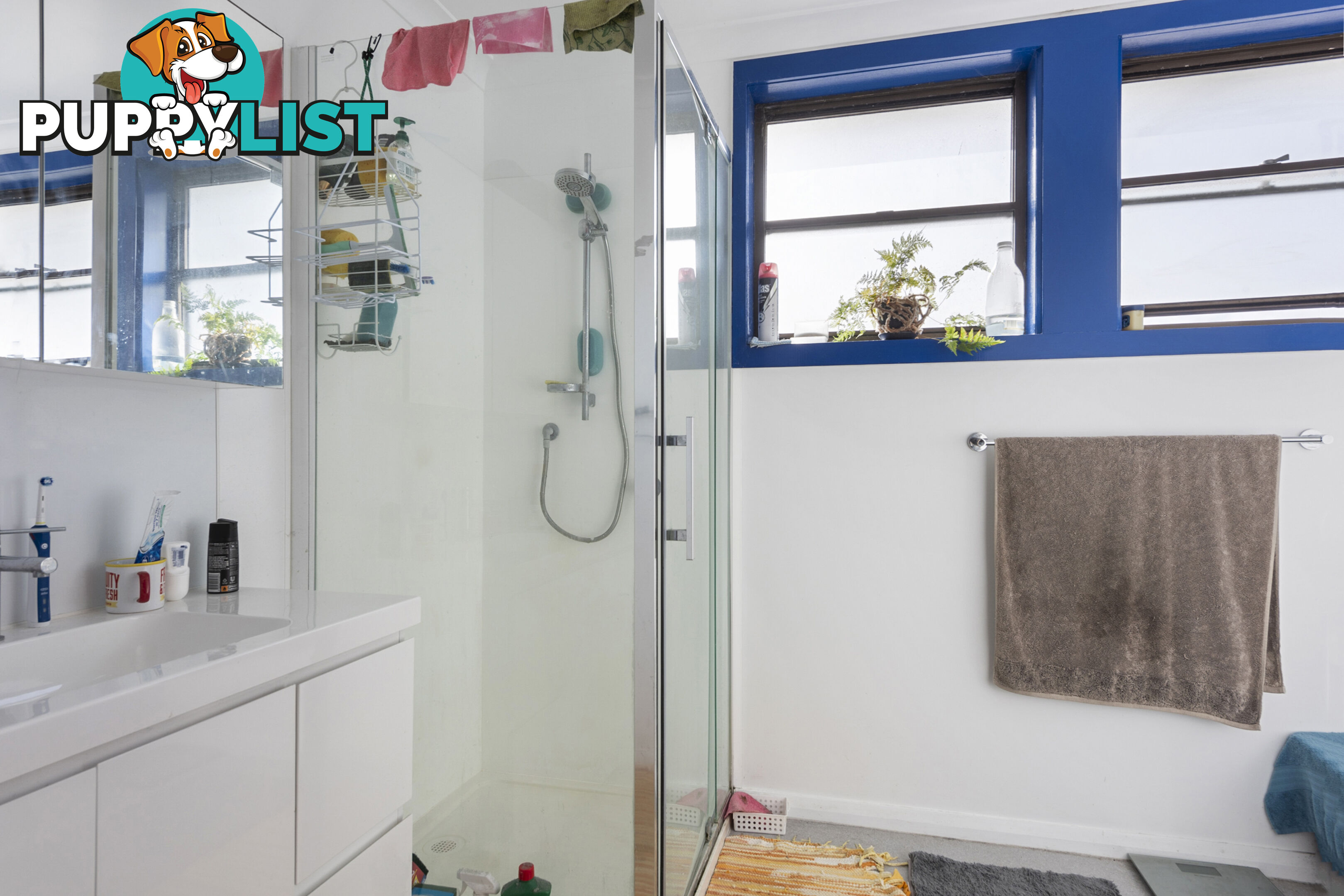 17 Hellyer Street SMITHTON TAS 7330