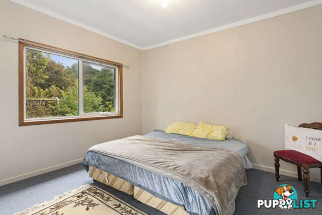 42 Bilsons Road IRISHTOWN TAS 7330