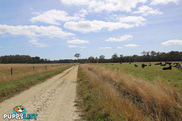 Wedge Plains Road LILEAH TAS 7330