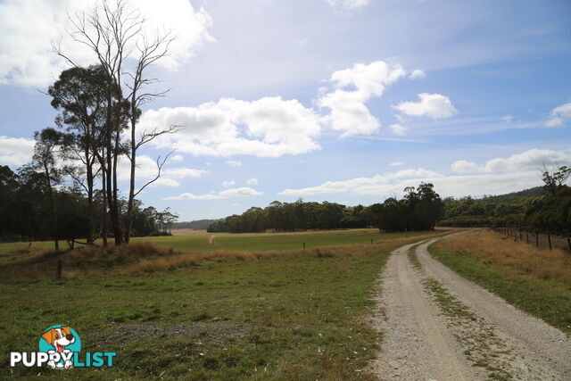 Wedge Plains Road LILEAH TAS 7330